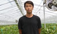 快適空乾は最高の内張りカーテンです