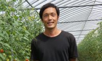 散乱光フィルムでハウス内の環境を整える