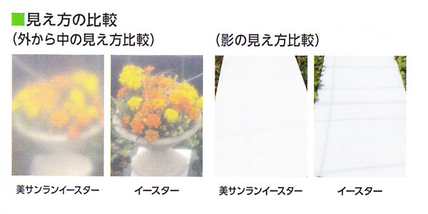 美サンランイースター