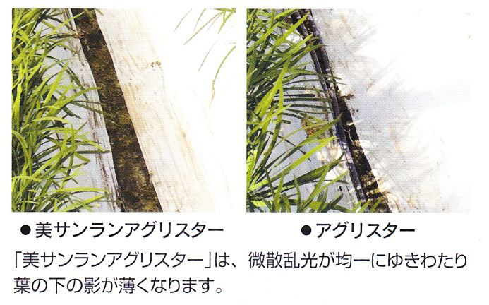 美サンランアグリスター