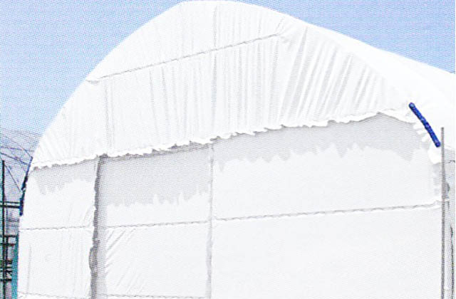ハクリョク