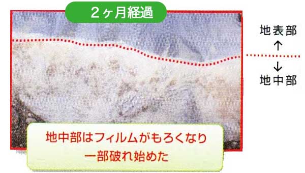 マルチ