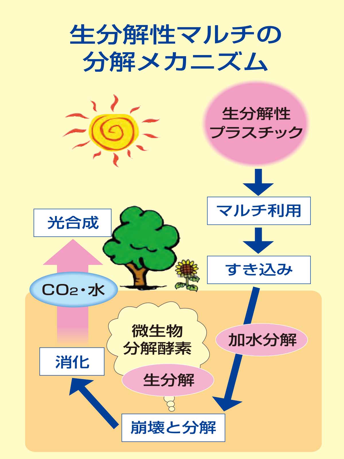 マルチ