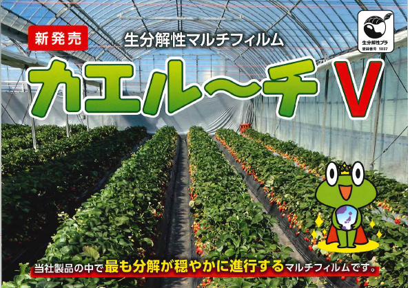 マルチ