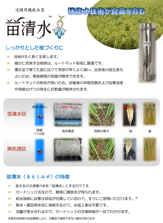 苗清水