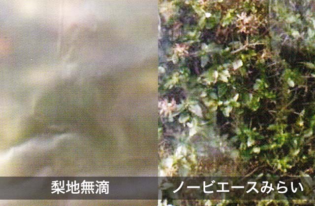 梨地