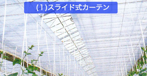 サンホット