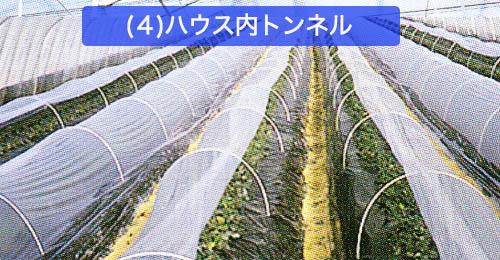 サンホット