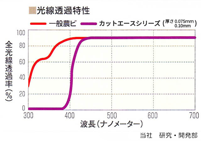 カットエース