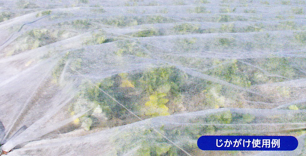 パオパオ