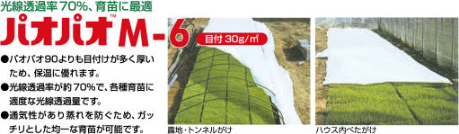パオパオ